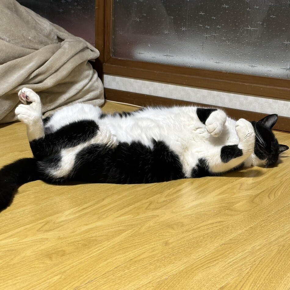 bebeのカバー写真