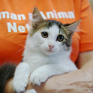 可愛いドジ系の美男子☆ウィリアム君