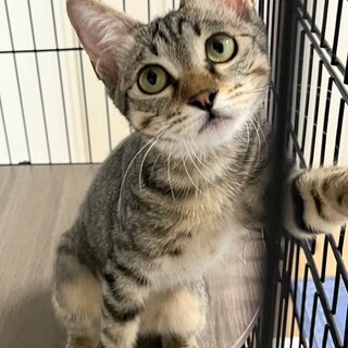 甘えたい盛りのひめちゃん