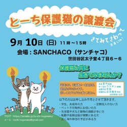 とーち保護猫の譲渡会@三軒茶屋