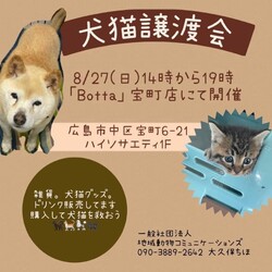 犬猫譲渡会