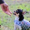秋はまだまだ