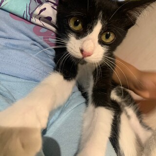 君はあいぼう♡えだまめくん