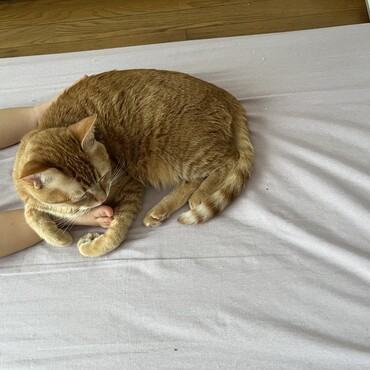 の写真