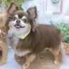 ゆっくり仲良くなって、いっぱいナデナデしてね♡ サムネイル7