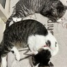 もずくさま