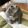 ７月４日産まれ　きいろ君❤️