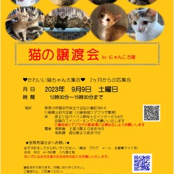 9月9日　猫の譲渡会　by にゃんころ隊