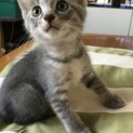 ７月４日産まれ　みどりちゃん❤️