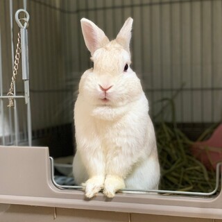 【ありがとうございました????】「うーたん♂」です