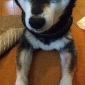 ムサ坊