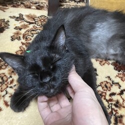 だいぶ慣れました