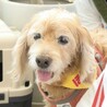 温和で心優しく、甘えん坊さんな男の子♡ サムネイル6