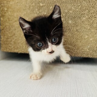 もう可愛くって可愛くっての女の子