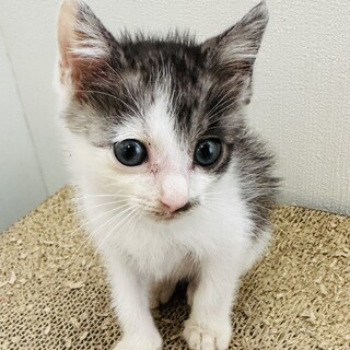 どうしましょう。超可愛い男の子