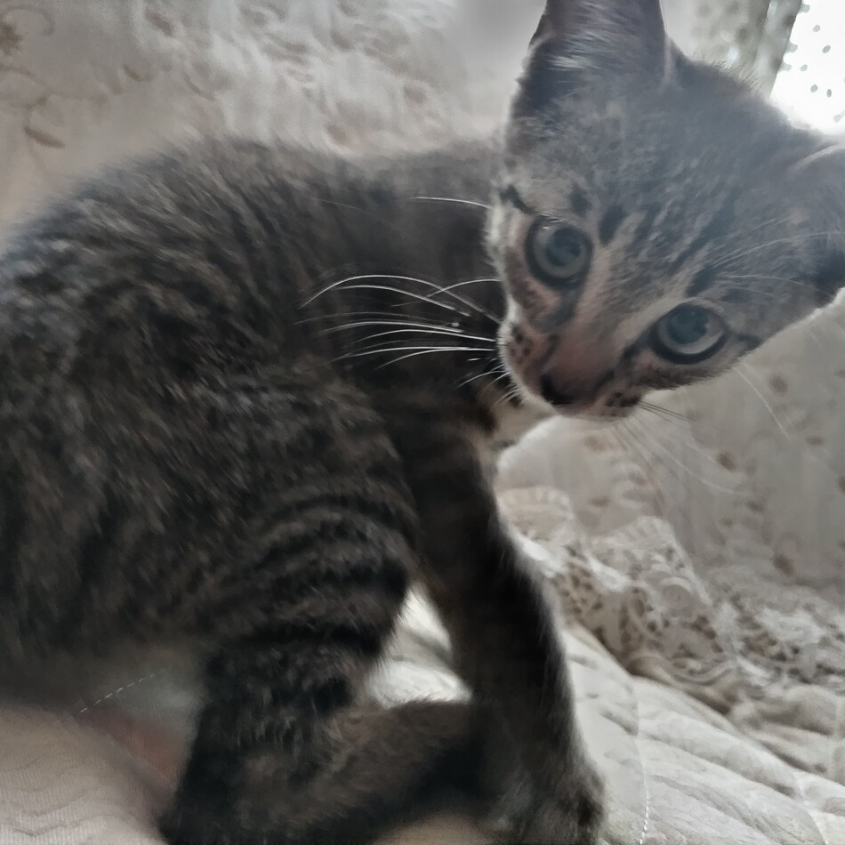 美優のカバー写真