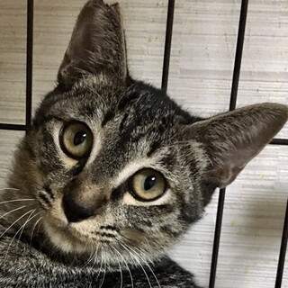 とっても穏やかな愛嬌たっぷりの空(そら)君❣️