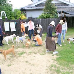 AWA総社犬ねこ譲渡会