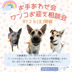 お手あわせ会＆ワンコお迎え相談会 サムネイル1