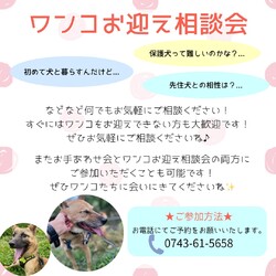 お手あわせ会＆ワンコお迎え相談会 サムネイル3