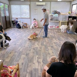 総社市ＡＷＡしつけ教室　＜雨天決行＞ サムネイル3