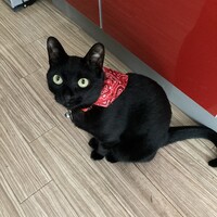 うり