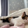 むーちゃん