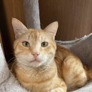 スリゴロなミゲル！