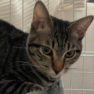 おっとりした大地