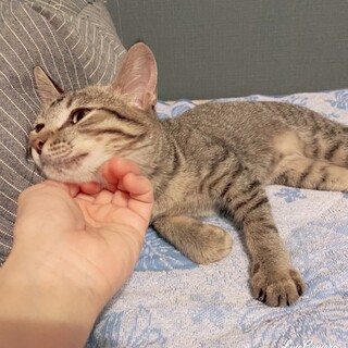 ❤️ボクを家族にしてください❤️