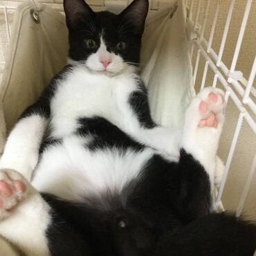 の写真
