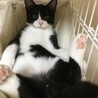 の写真