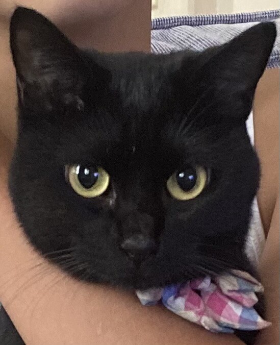 おちょび