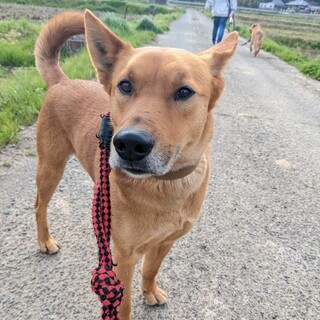 紳士的でみんなを虜にする人たらしの「秀吉」くん