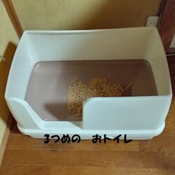 「逝ってしまったパッソゥの大型トイレ導入」サムネイル3