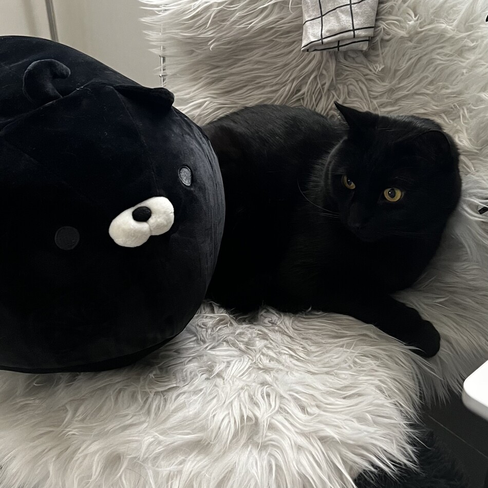 BBのカバー写真