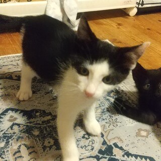 富山県！甘えん坊さんです♡