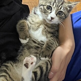 抱っこでスヤスヤ????ちゅな君