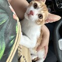 離島生まれのタレ目ワンパクボーイ????