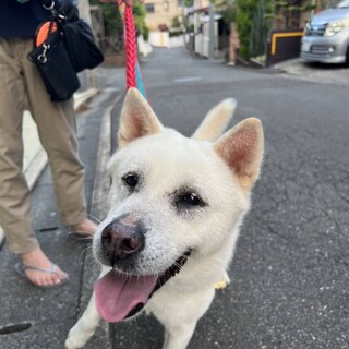 穏やかでお利口さんの　ななこ（魚々子）ちゃん