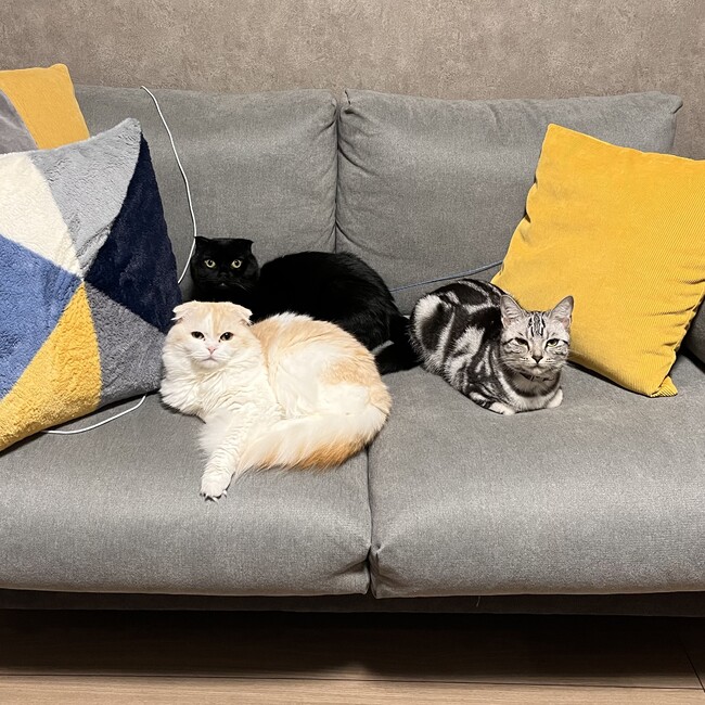 バジルパスタのカバー写真