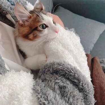 寒い日の休日♡パパに抱っこされてまったりしてます♪
