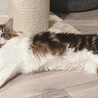 遊び疲れて満足気な顔