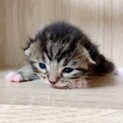 ご応募ありがとうございました！