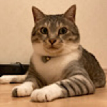 おすわり姿が凛々しいです