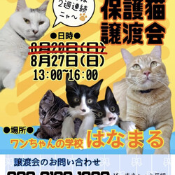 ぴーすきゃっと長崎 保護猫譲渡会