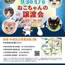 ねこざんまい譲渡会@東日本橋