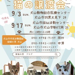 猫の譲渡会 @犬山市動物総合医療センター