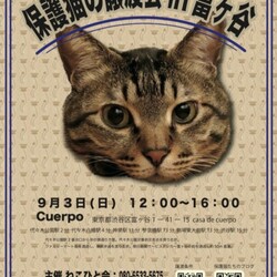 保護猫の譲渡会in富ケ谷
