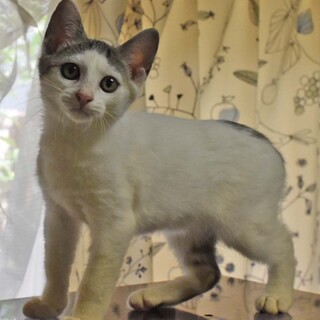 パッツン前髪の愛されキャラ★パーカー君